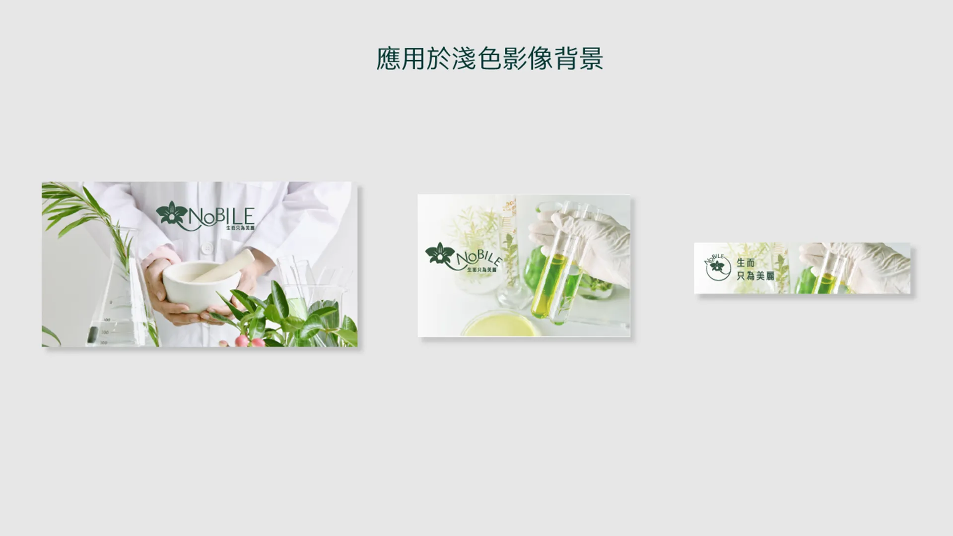 艾蓓莉色彩運用2